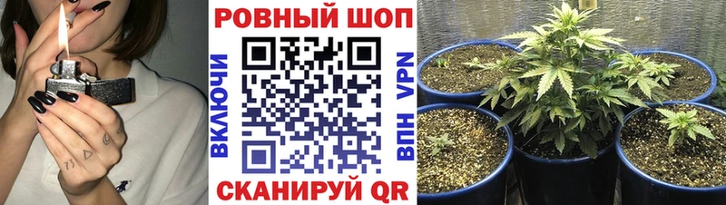 Цена Лебедянь A-PVP Меф COCAIN Гашиш Амфетамин Бошки Шишки