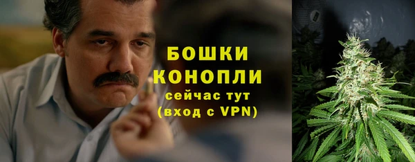 индика Надым