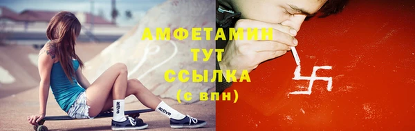 индика Надым