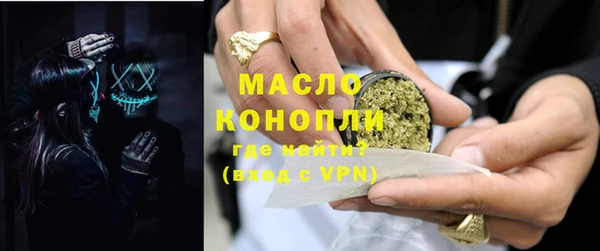 индика Надым