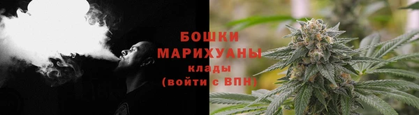 индика Надым