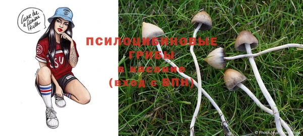 apvp Наволоки