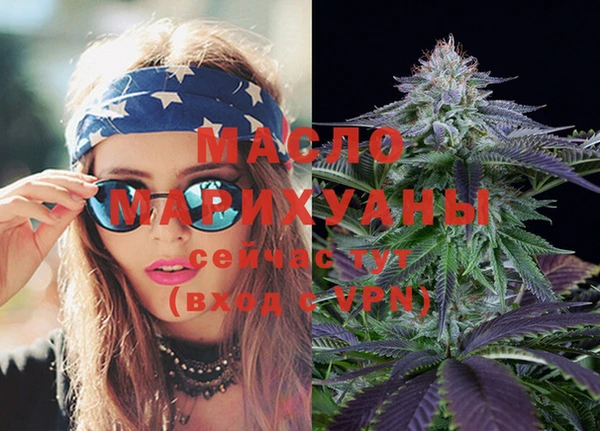 индика Надым