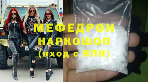индика Надым