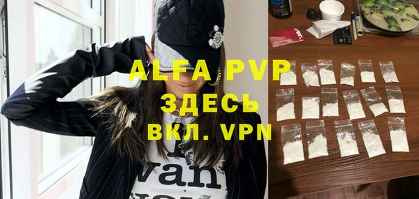 индика Надым