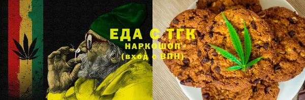индика Надым