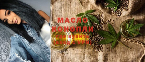 индика Надым