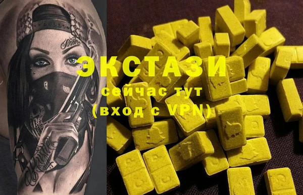 индика Надым