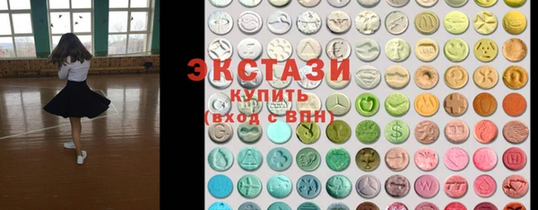 индика Надым