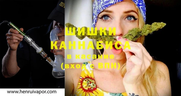 индика Надым